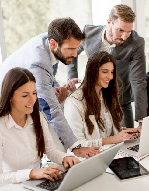 Employees Working on the Laptop